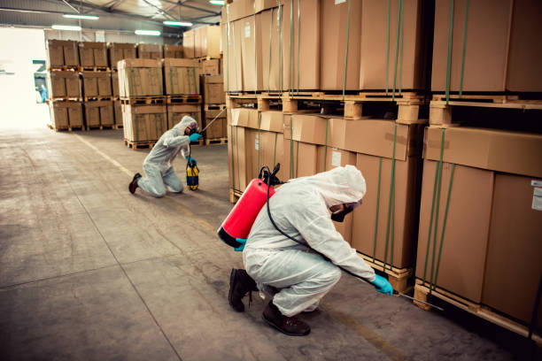 Best Rat Extermination Near Me  in West Brownsville, PA