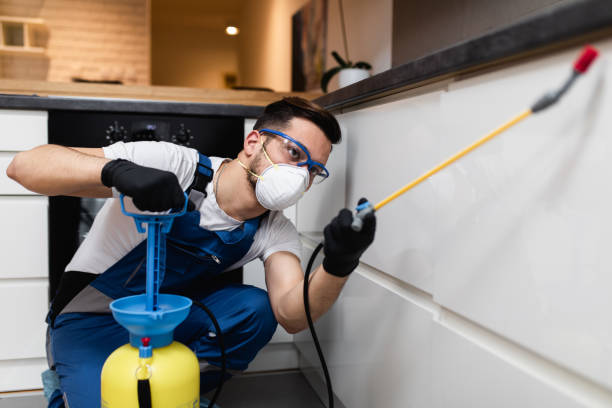 Best Pest Removal Services  in West Brownsville, PA