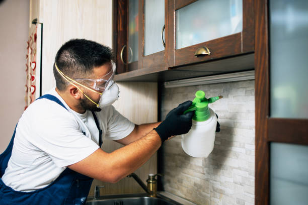 Wildlife Control Services in West Brownsville, PA