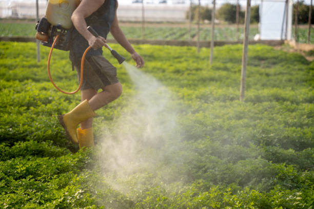 Best Commercial Pest Control Services  in West Brownsville, PA