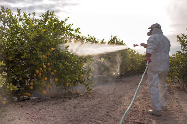 Professional Pest Control in West Brownsville, PA