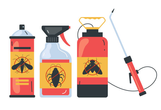 Best Spider Control Near Me  in West Brownsville, PA