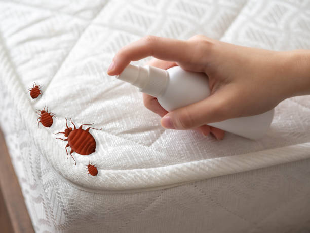 Pest Control Cost in West Brownsville, PA