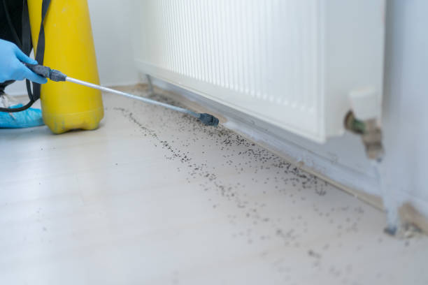 Best Emergency Pest Control  in West Brownsville, PA