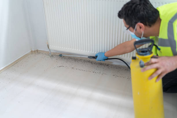 Best Residential Pest Control  in West Brownsville, PA