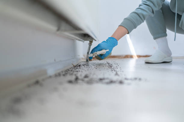 Best Local Pest Control Services  in West Brownsville, PA