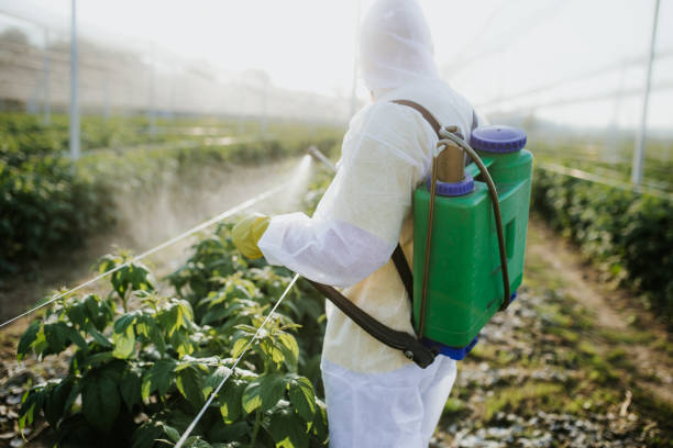 Best Cockroach Control Services  in West Brownsville, PA